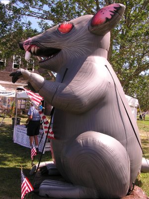 This inflatable rat not to be used as a lifesaving flotation device.jpg