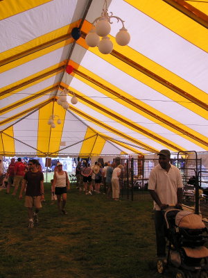 Fiber Tent.jpg