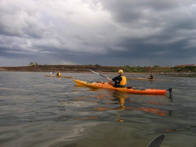 P8230001.jpg