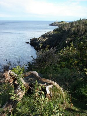 kilby183.jpg