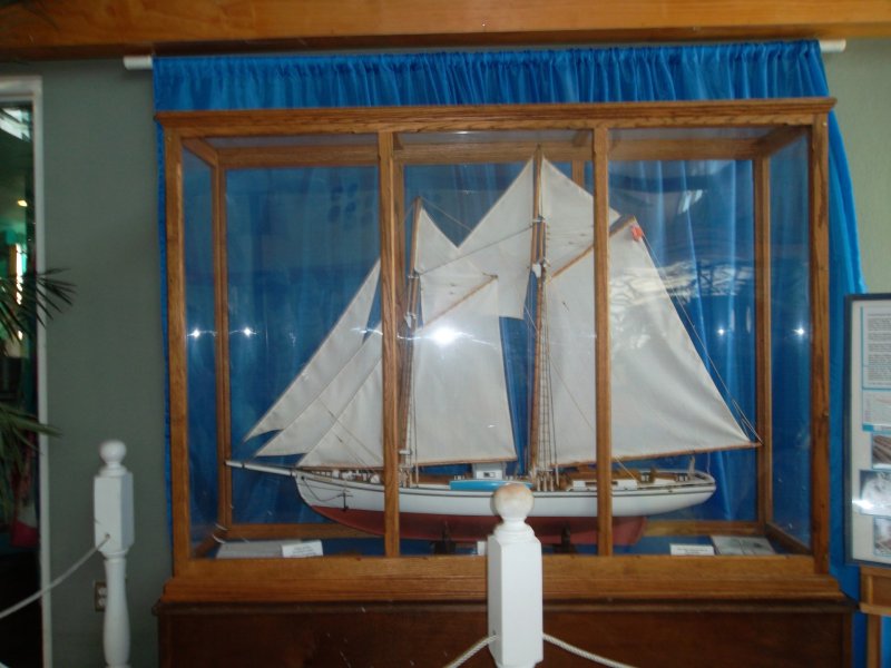 SAM_0145.JPG