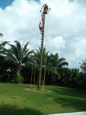SAM_0131.JPG