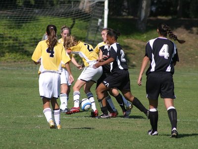IMG_8088.jpg