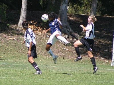 IMG_8254.jpg