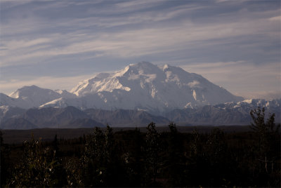 Mt McKinley Above the trees.jpg