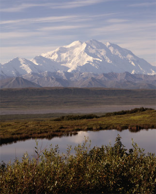 Mt McKinley Reflected in pond vertical.jpg