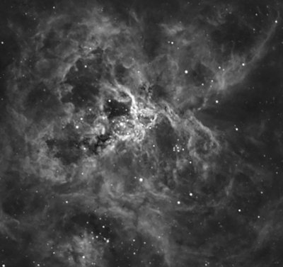 Tarantula Nebula Region - work in progress.....