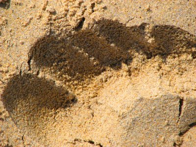 Sandy footprint