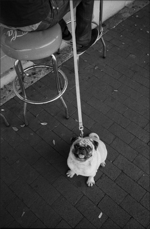 HP5-87-09pr1sm.jpg