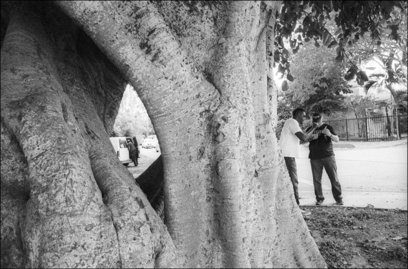 HP5-89-09pr1sm.jpg