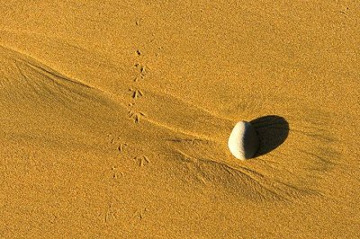 rock and tracks