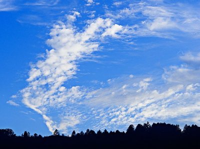 Coast Range cloud study