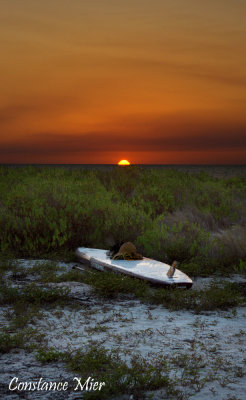 Paddleboard and Sunset