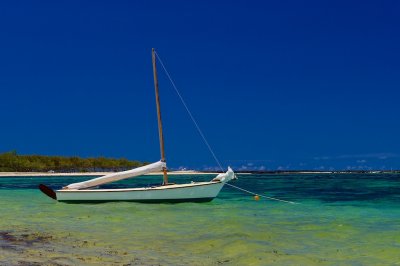 _IGP1210.jpg