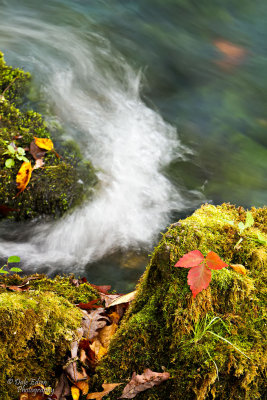 102012-029-web.jpg