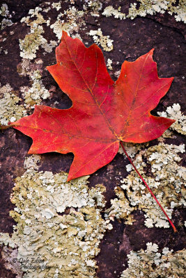 102012-050-web.jpg