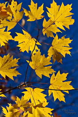 102012-064-web.jpg
