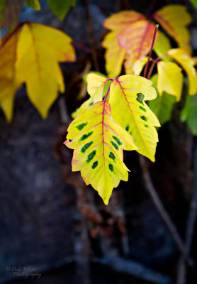 102012-070-web.jpg