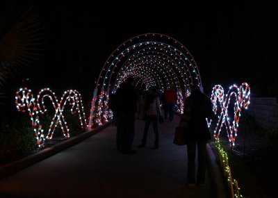 Moody Gardens Festival of Lights