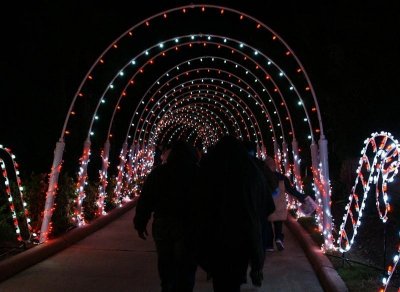 Moody Gardens Festival of Lights