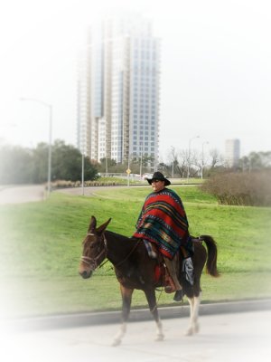 Seeing Red ~ Serape