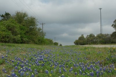 Fayette County Road