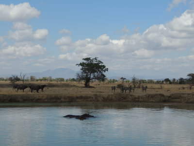 Tanzania 655.jpg