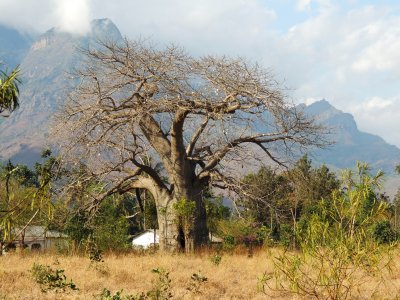 Tanzania 076.jpg