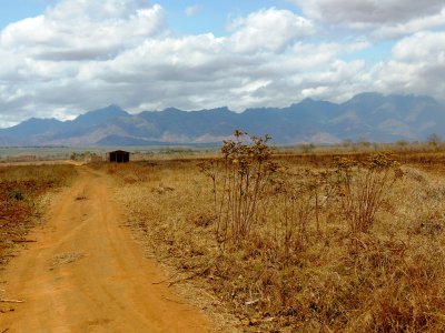 Tanzania 124.jpg