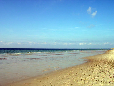 chappy-beach.jpg