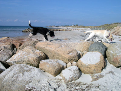 galley+lilly.jpg