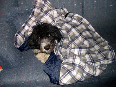 chilly.jpg