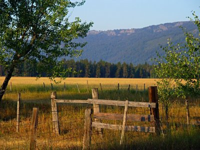 dsc00076  sunrise meadow Donnelly Idaho.jpg