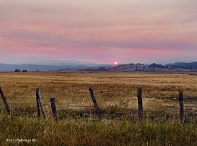 dsc00107  fenceline sunrise.jpg