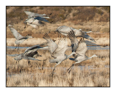 Dawn Flyout from Wading Pools