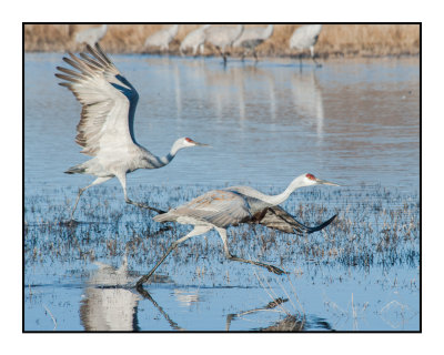 Dawn Flyout from Wading Pools