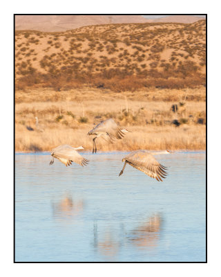 Dawn Flyout from Wading Pools