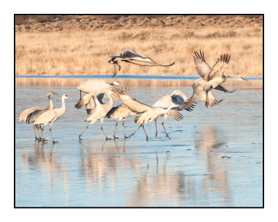 Dawn Flyout from Wading Pools