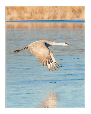 Dawn Flyout from Wading Pools