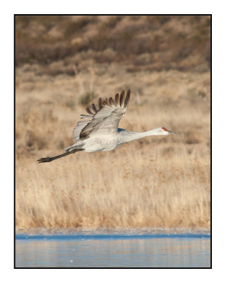 Dawn Flyout from Wading Pools