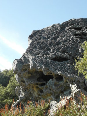Castle Rock Hike - 11/3/12