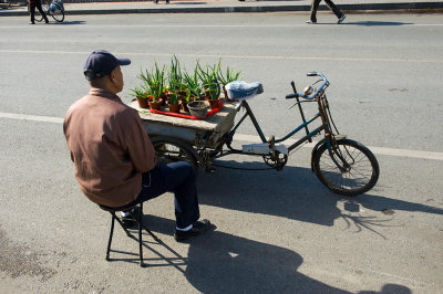 Plant seller