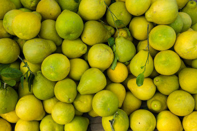 Pomelos