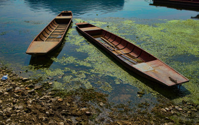 Li River boats
