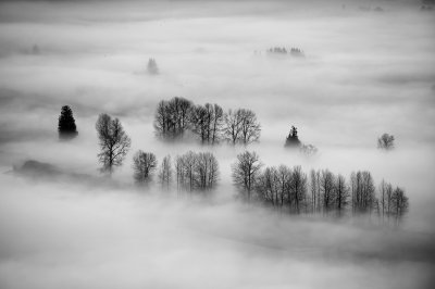 Rising Fog