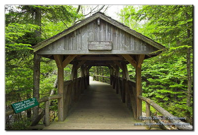 29-05-17 Grafton County, Allan Hollis Footbridge