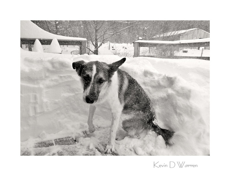 Wind Chill