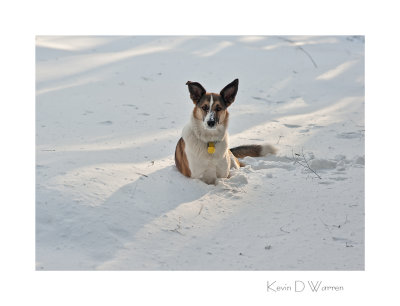 Baldr & The Blizzard