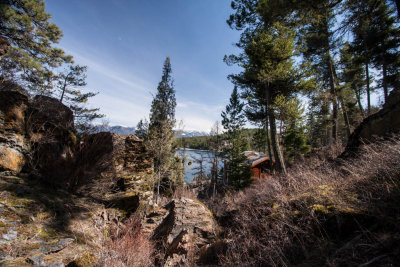 Forest View