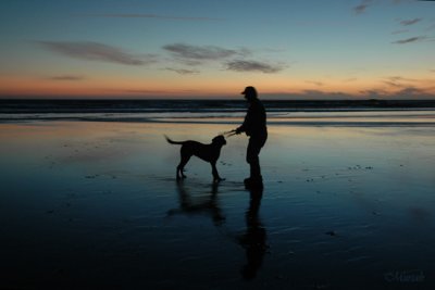Two Stick Dog Play